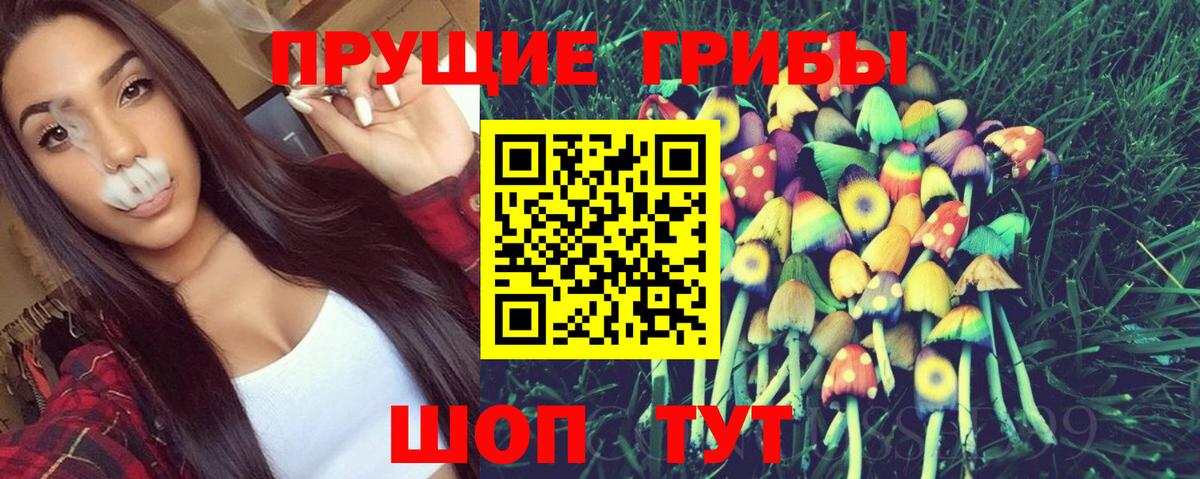 Псилоцибиновые грибы мухоморы Лесной