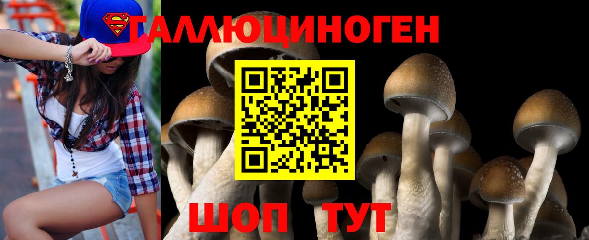 Галлюциногенные грибы Psilocybine cubensis  Вход с VPN  Псилоцибиновые грибы ЛСД  Лесной 