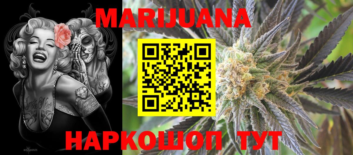 Каннабис планчик Лесной
